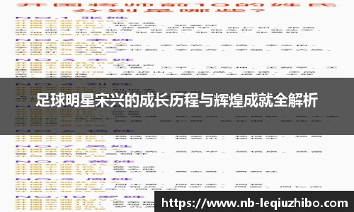 足球明星宋兴的成长历程与辉煌成就全解析